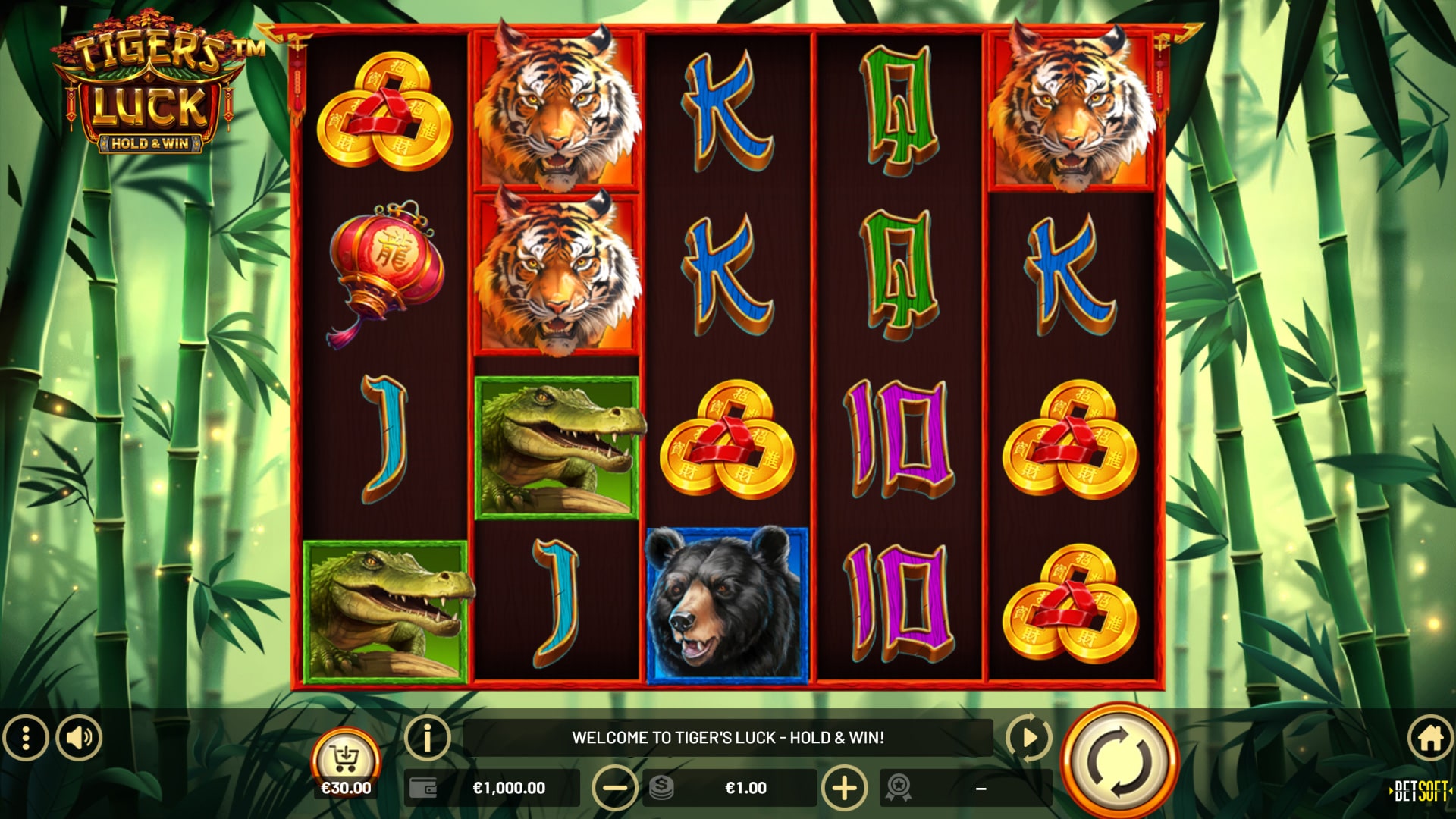 tiger's_luck_-_hold_and_win