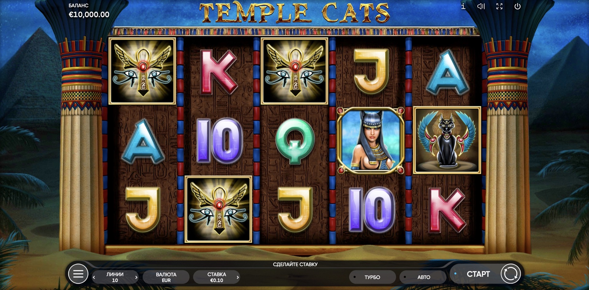 temple_cats