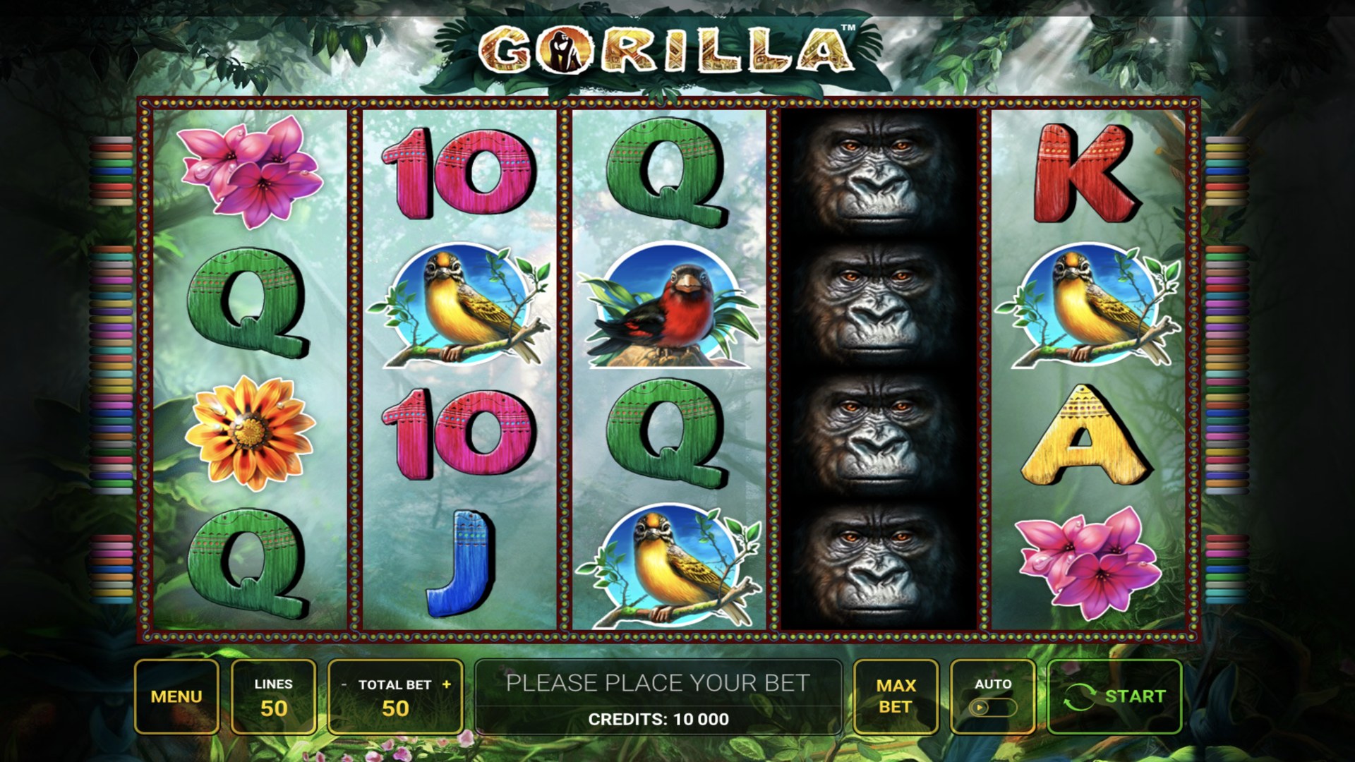 gorilla
