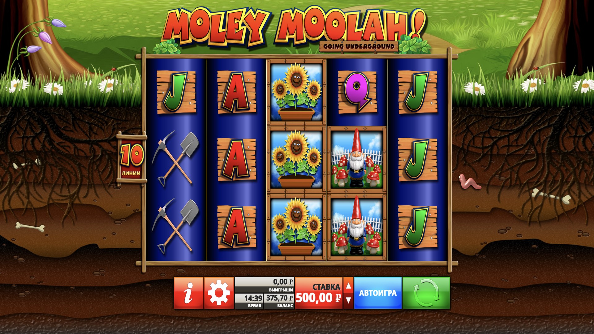 Moley Moolah